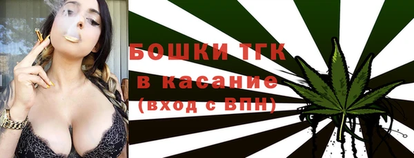 дживик Белокуриха