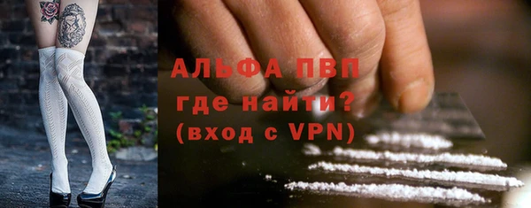 дживик Белокуриха