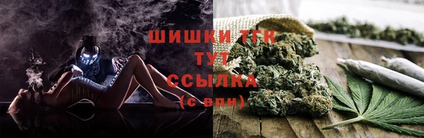 PSILOCYBIN Белоозёрский