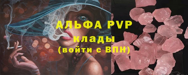 дживик Белокуриха