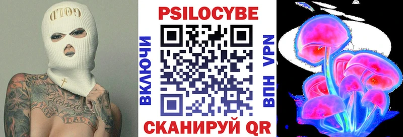 блэк спрут зеркало  Гремячинск  Псилоцибиновые грибы мухоморы 