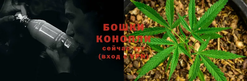 закладка  Гремячинск  Бошки Шишки White Widow 